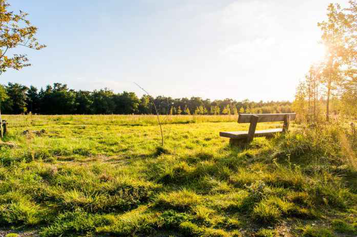 Natuurbegraafplaats Ontwerp