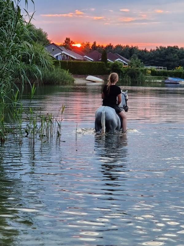 Stefanie Kiewiet Paard Met Vrouw In Gat Van Franke Westerhaar 2