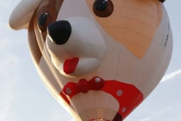 Ballonfestijn Westerhaar