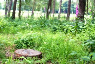 Natuurbegraafplaats